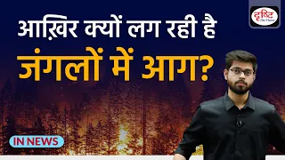 Forest Fire - Cause and Impact - IN NEWS I Drishti IAS