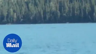 Man captures footage of 'unknown creature' in Chinese lake