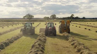 We Snatched Some Hay!