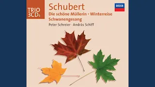 Schubert: Schwanengesang, D. 957 - Ständchen