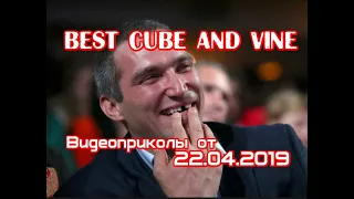 Best Cube and Vine. Best Coub and Vines №2. Лучшие Кубы и Вайны. Видеоприколы. 22.04.2019