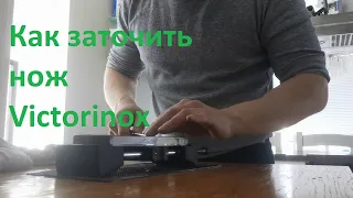 How to sharpen Victorinox knife.