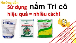 Cách sử dụng nấm trichoderma hiệu quả nhiều cách | Dược sĩ cây trồng