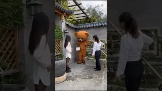 Funny Video Gấu Lầy Lội P159 #Shorts