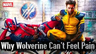 Why Wolverine Can't Feel Pain