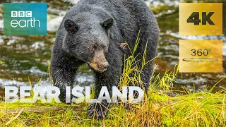 Bear Island in 360° 🐻 The story of a black bear | BBC Earth