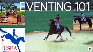 Everything You Need to Know About the Sport of Eventing