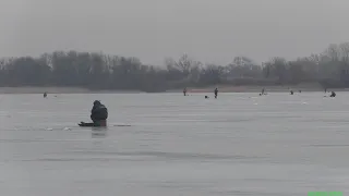 Плотва на Каменском водохранилище.