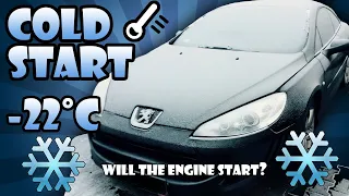 Peugeot 407 Coupe 2.7HDI Cold Start -22°C