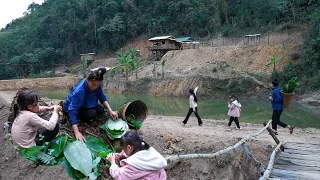 Clean the house, harvest leaves to wrap cakes, catch honeybees to raise | Family Farm