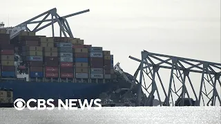 Maritime expert reacts to ship hitting Baltimore bridge, causing collapse