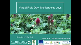 Introduction to Herbal Leys part 1 - Establishment and Management