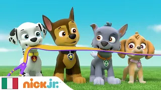 PAW Patrol - La squadra dei cuccioli | I Momenti Più Esilaranti | Nick Jr.