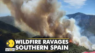 Wildfire ravages southern Spain: Warm weather & adverse winds causing the blaze | English News