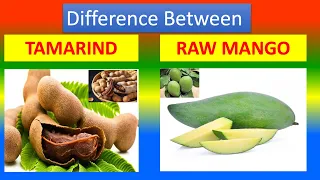 Differences Between Medical And Health Benefits Of Tamarind and Raw mango