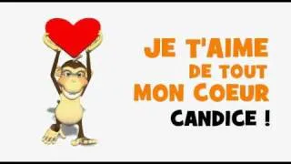 SAINT VALENTIN - JE T'AIME CANDICE