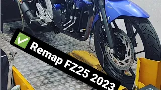 Remap FZ25 2023