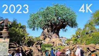 Disney's Animal Kingdom 2023 Complete Walking Tour in 4K | Walt Disney World Florida January 2023