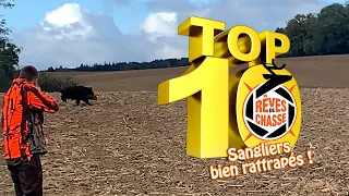 Top 10 Hunting Dreams n°12 - October 2023 - Special edition "Wild boars missed then caught"