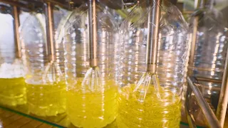 How it's Made: Sunflower Oil