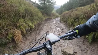 Thrilling Downhill Mountain Biking in Macclesfield Forest - Charity Lane Descent