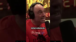 The DARK Truth about Chimpanzees - Joe Rogan