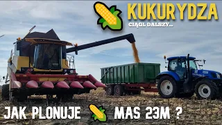 Koszenie kukurydzy Mas 23M | Jaka wydajność ? | New Holland CX6.80 [vlog#194
