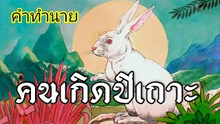 ดวงคนเกิดปีเถาะ(ปีกระต่าย)🐰ตามลักษณะวันเกิดและเดือนเกิด #ดูดวง #ช่องแมวตาเพชร