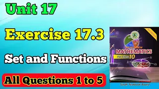 Exercise 17.3 all questions chapter 17 set and functions class 10 or matric New mathematics book