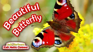 Beautiful Butterfly | Butterfly Song for Kids! | Jack Hartmann