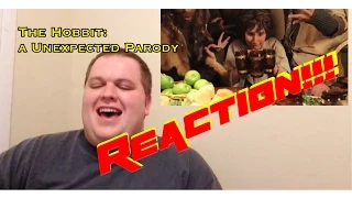 The Hobbit: A Unexpected Parody REACTION!!!