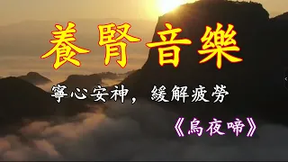 古琴音藥｜寧心淨腦，緩解疲勞，提高記憶力《烏夜啼》！