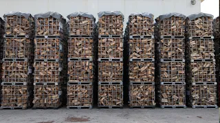 The process of mass-producing 8000 tons of wood firewood per year. No. 1 firewood factory in Korea