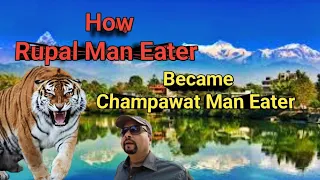 How Rupal Man Eater Tigress Became Champawat Man Eater । How Nepal Man Eater Tigress Came To India