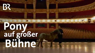 Pünktchens großer Auftritt: Ein Pony im Staatsballett | Schwaben & Altbayern | BR