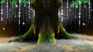 Avatar Magic Tree | Nature Video Background | Background Video | Background Video Effects hd