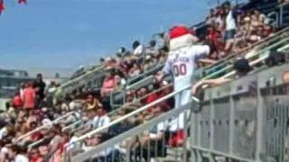 Screech Washington Nationals Mascot