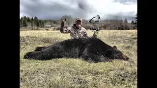 Spot and Stalk- Giant Black Bear with John Dudley