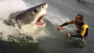Great White Shark BITES OFF Surfer's Leg...