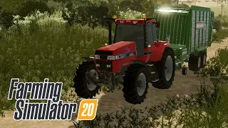 YOU CAN SELL GRASS HERE - Farming Simulator 20