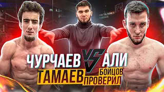 Чурчаев vs Али. Тамаев проверил Бойцов!