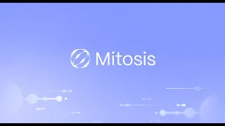 Mitosis expedition. Гайд по тестнету модульного протокола ликвидности