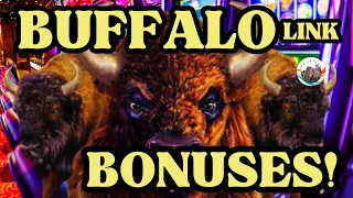 Buffalo Link Slot SO MANY BONUSES!