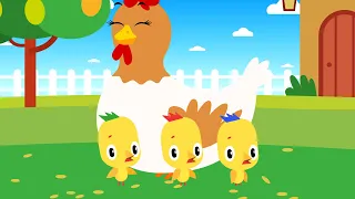 Little Chicks Song | Animal Songs For Kids | Nursery Rhymes & Kids Songs