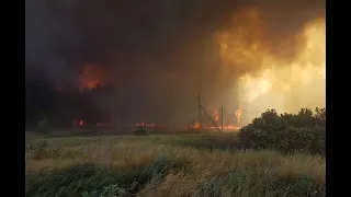 Лесные пожары в Воронежской области. 6-7 июля 2020 года