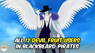 Finally! All 12 Devil Fruit Users in Blackbeard Pirates