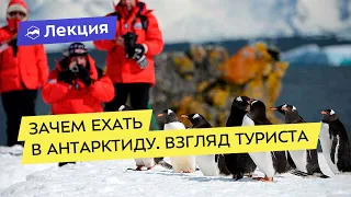 Зачем ехать в Антарктиду. Взгляд туриста