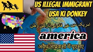 usa ki donkey information in urdu and  hindi 2018/19 U S A ki donkey information hindi.