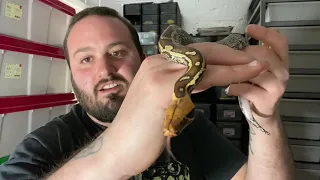 Episode 66: 5 things to avoid when keeping snakes