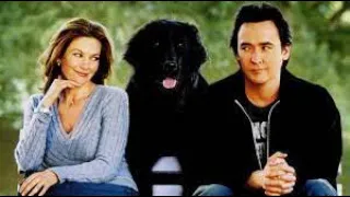 Must Love Dogs Full Movie Fact & Review /  Diane Lane / John Cusack